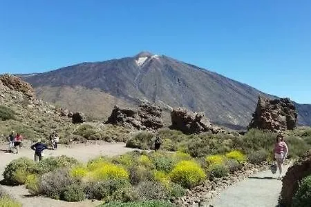 Gfs Home Santa Cruz de Tenerife